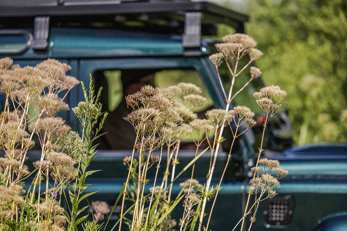 Elizabeth the Land Rover Defender D110