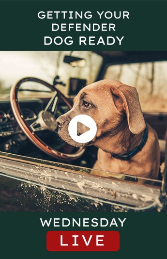 Helderburg Live – Getting Your Defender Dog Ready
