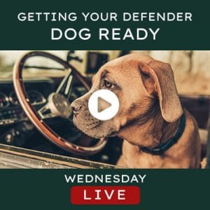 Watch the video - Helderburg Live – Getting Your Defender Dog Ready