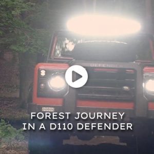 Watch the video - Emma: Forest Journey