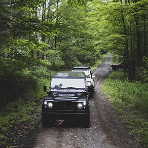 Rovers in the Woods II Event June 2021