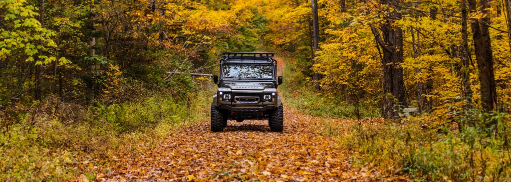 D130 Enzo Autumn Drive