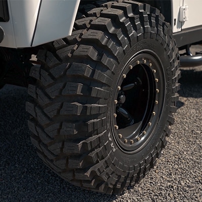 Walk Around Ritter the Land Rover Defender D90 Video