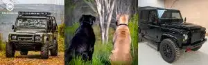 Newsletter: Defenders, Dogs and Lessons in Life