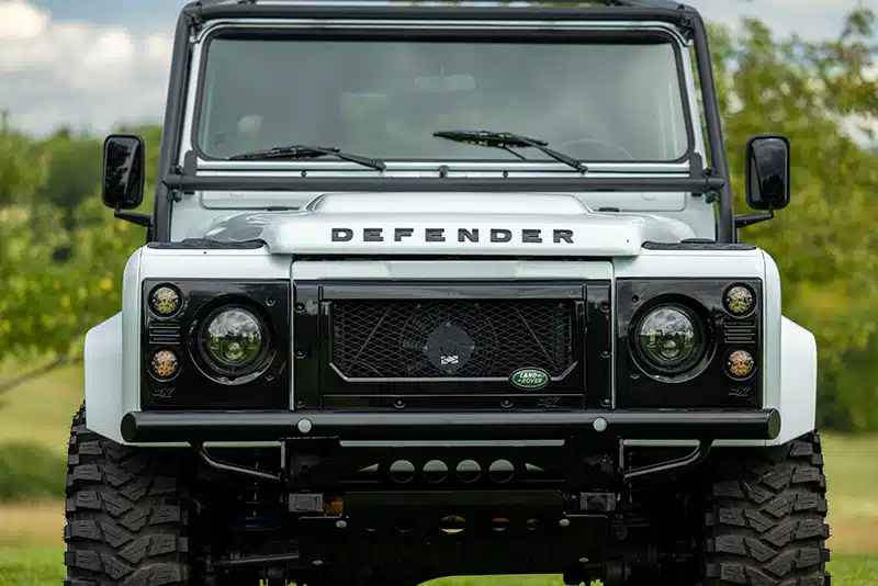 Maxim the D90 Super Defender at Helderburg