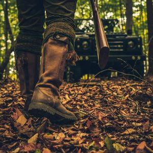 Walking in the wood with Defender